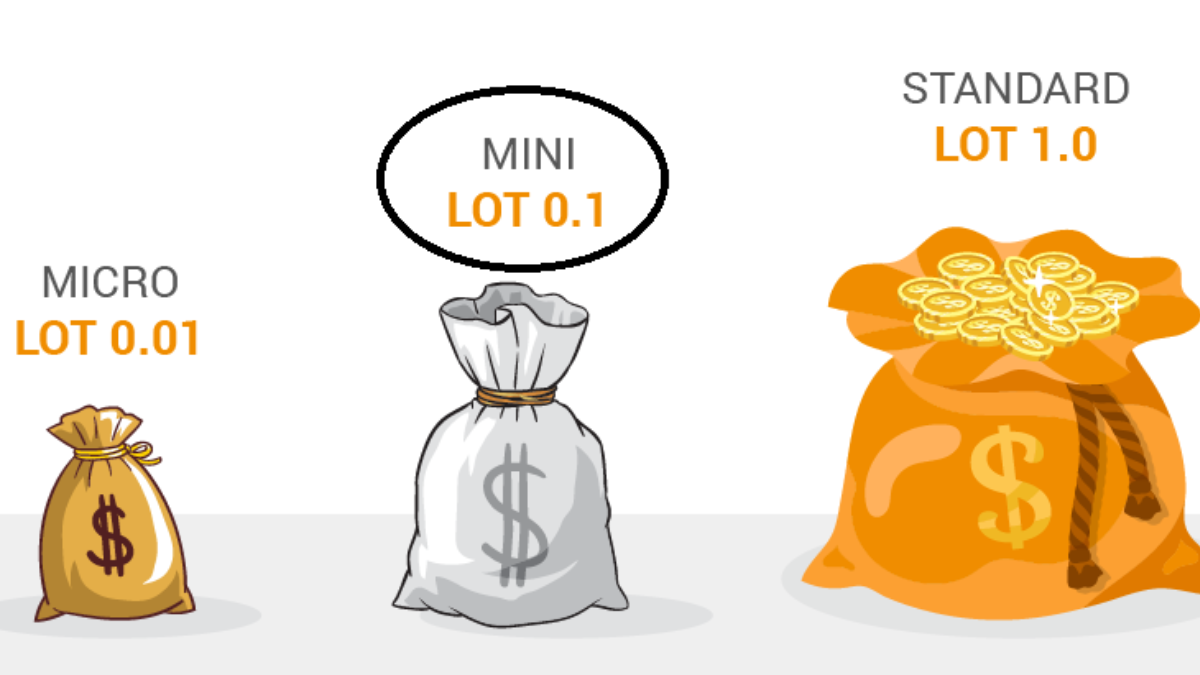 what-is-lot-in-forex