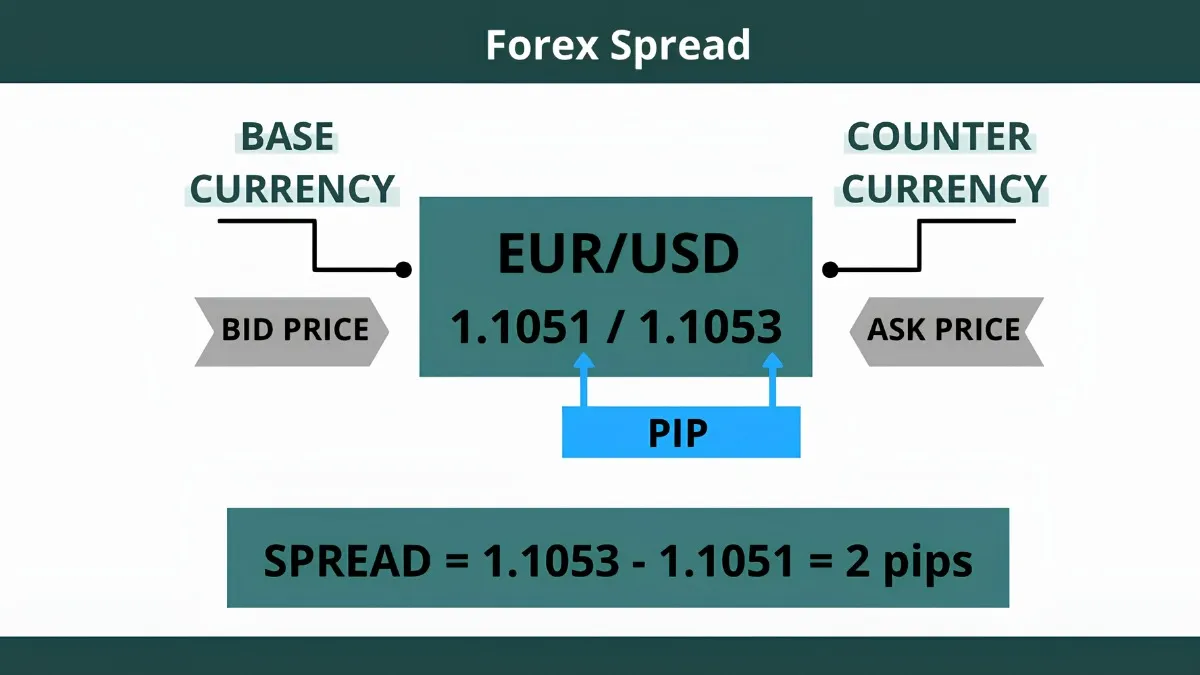 minh hoa pip va spread trong forex 